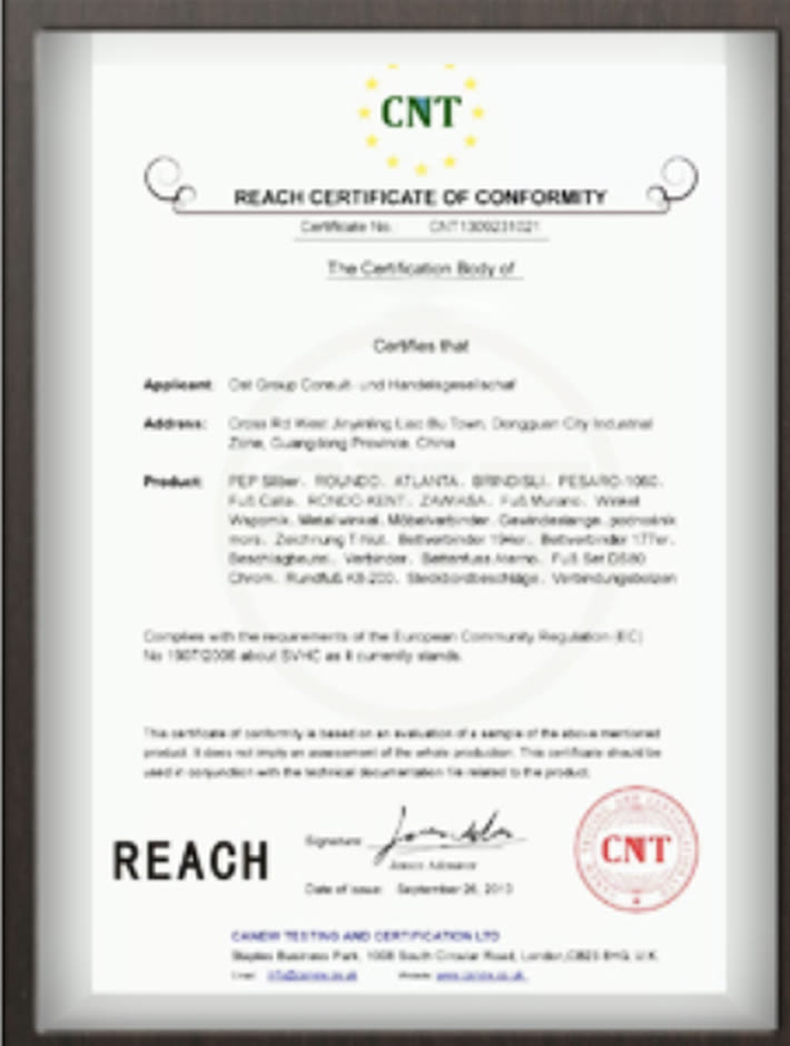 REACH certification or testing document preview
